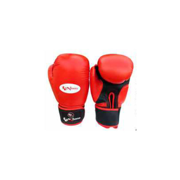 Boxing Vande Mataram 